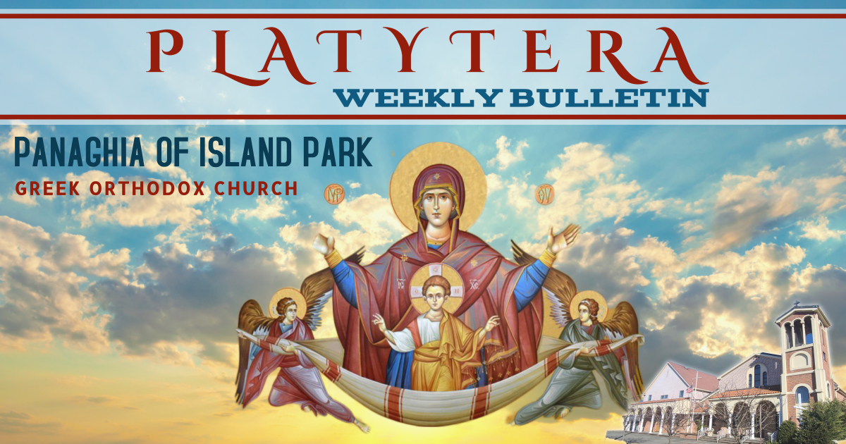 PLATYTERA Weekly Bulletin